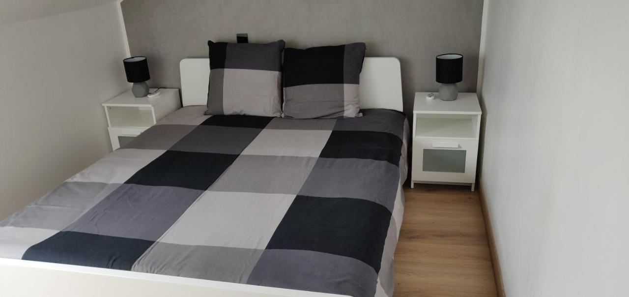 Apartament Le Business, Duplex Moderne Special Pro De Passage Sarreguemines Zewnętrze zdjęcie