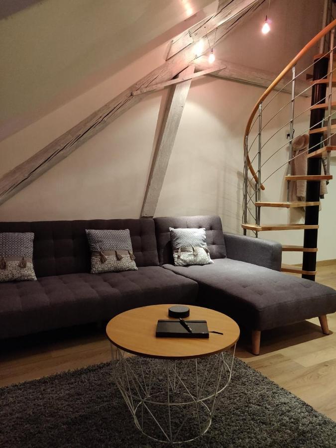 Apartament Le Business, Duplex Moderne Special Pro De Passage Sarreguemines Zewnętrze zdjęcie