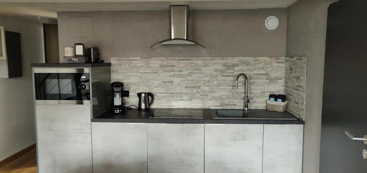 Apartament Le Business, Duplex Moderne Special Pro De Passage Sarreguemines Zewnętrze zdjęcie