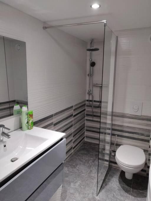 Apartament Le Business, Duplex Moderne Special Pro De Passage Sarreguemines Zewnętrze zdjęcie