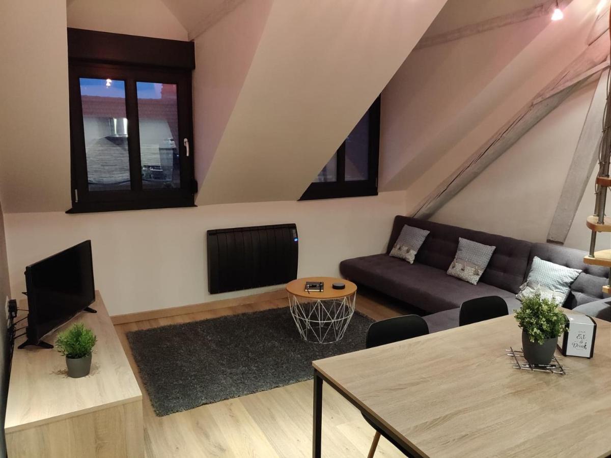 Apartament Le Business, Duplex Moderne Special Pro De Passage Sarreguemines Zewnętrze zdjęcie