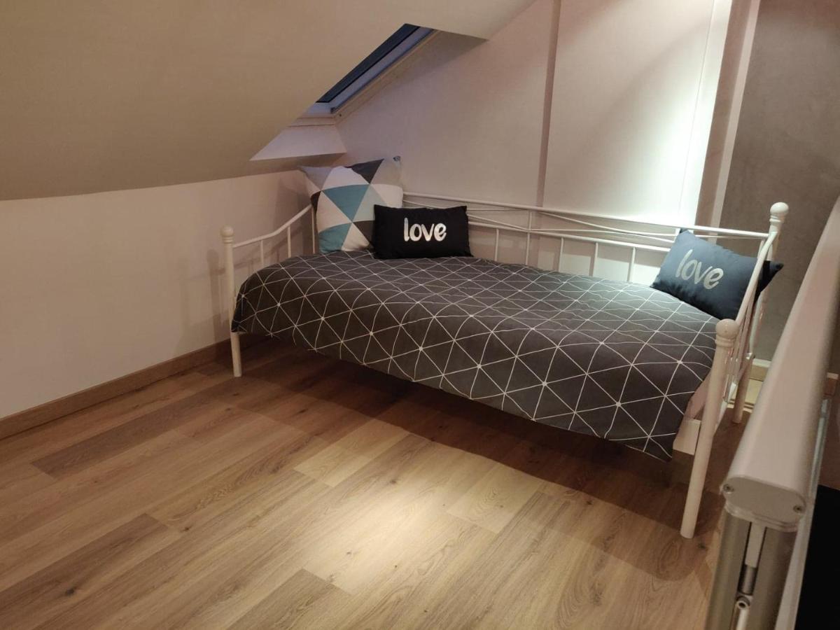 Apartament Le Business, Duplex Moderne Special Pro De Passage Sarreguemines Zewnętrze zdjęcie